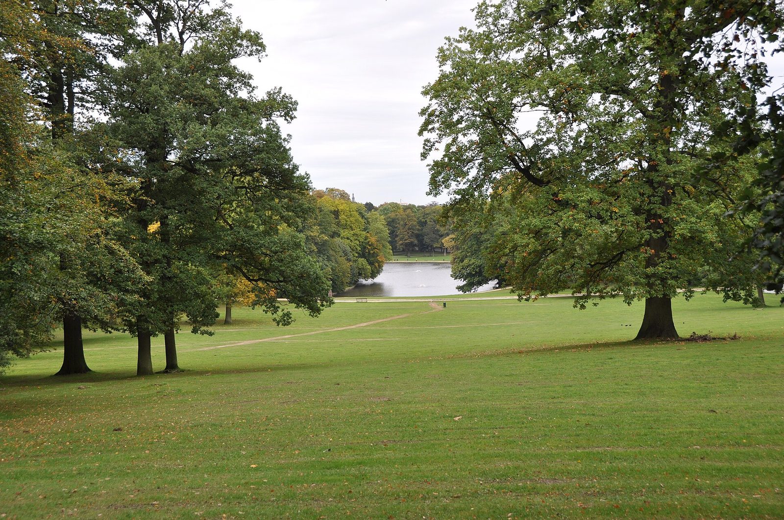 Een groot grasveld met hoge bomen in een park, met op de achtergrond een vijver.