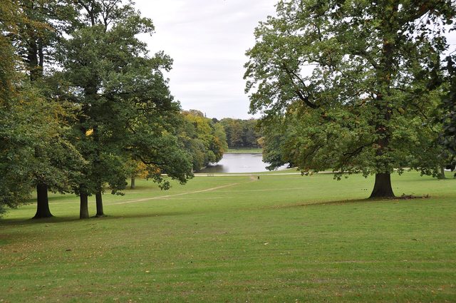 Een groot grasveld met hoge bomen in een park, met op de achtergrond een vijver.