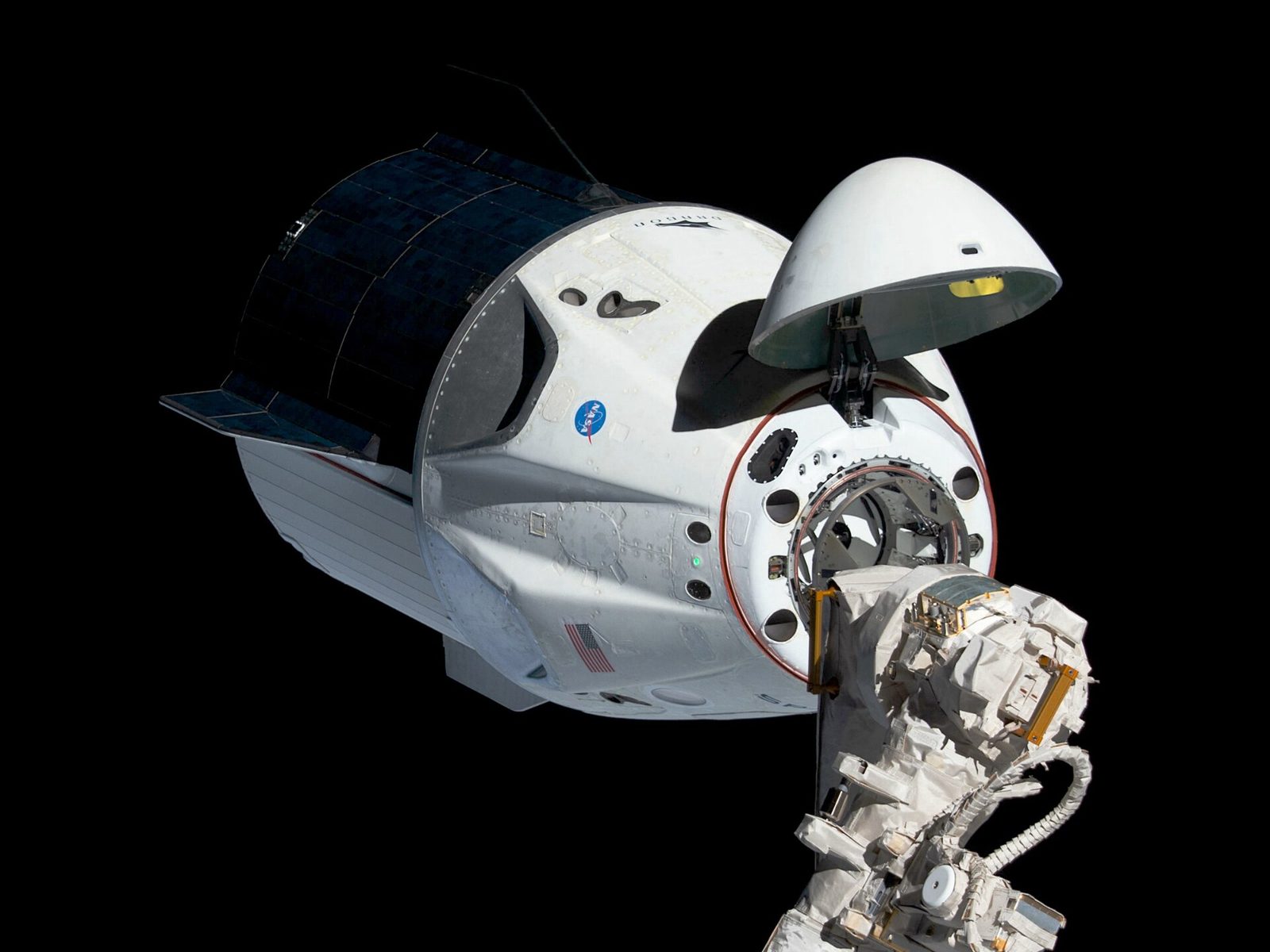 Een witte SpaceX Dragon-capsule zweeft in de ruimte tegen een zwarte achtergrond, vlak bij een robotarm van het ruimtestation.