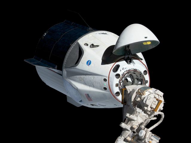 Een witte SpaceX Dragon-capsule zweeft in de ruimte tegen een zwarte achtergrond, vlak bij een robotarm van het ruimtestation.